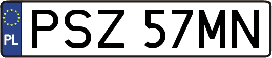 PSZ57MN