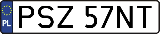 PSZ57NT