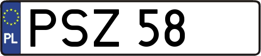 PSZ58