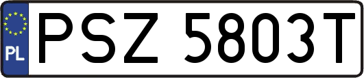 PSZ5803T