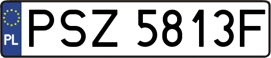PSZ5813F