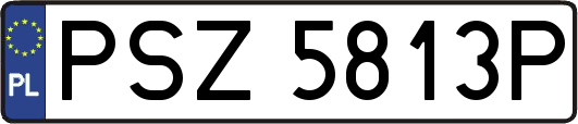 PSZ5813P