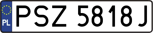 PSZ5818J
