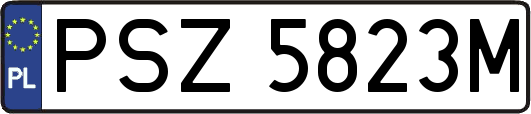 PSZ5823M