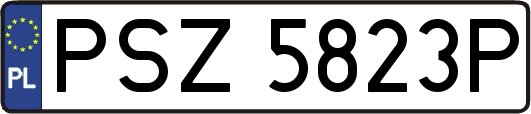 PSZ5823P