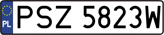 PSZ5823W