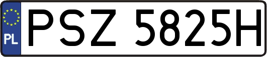 PSZ5825H