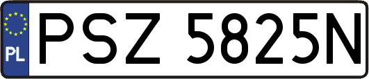 PSZ5825N