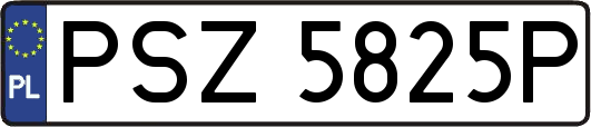 PSZ5825P