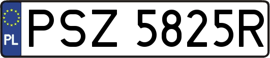 PSZ5825R