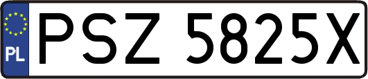 PSZ5825X