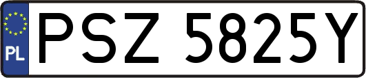 PSZ5825Y