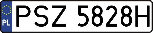 PSZ5828H