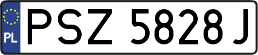 PSZ5828J