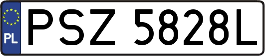 PSZ5828L