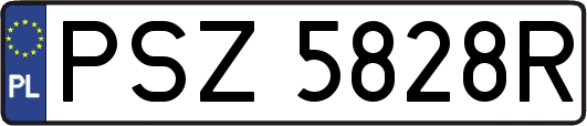 PSZ5828R
