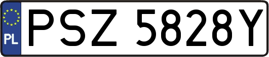 PSZ5828Y