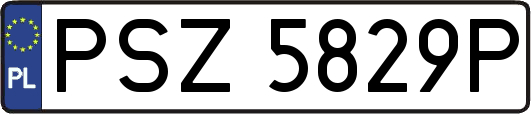 PSZ5829P