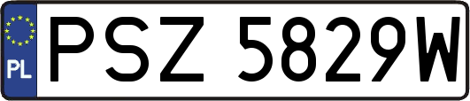 PSZ5829W