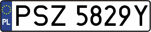 PSZ5829Y