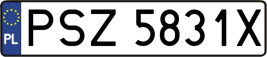 PSZ5831X