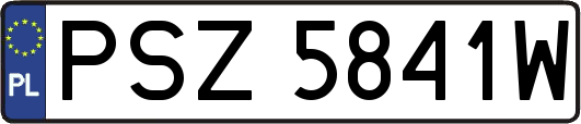 PSZ5841W