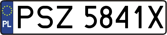 PSZ5841X