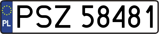 PSZ58481