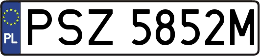 PSZ5852M