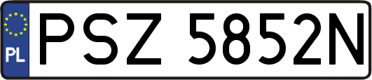 PSZ5852N