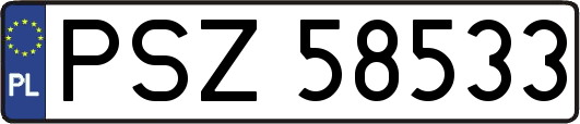 PSZ58533