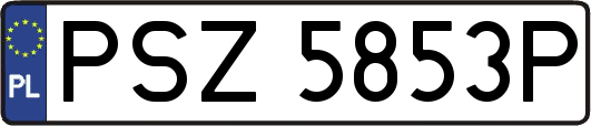 PSZ5853P