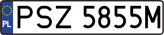 PSZ5855M