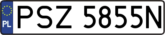 PSZ5855N
