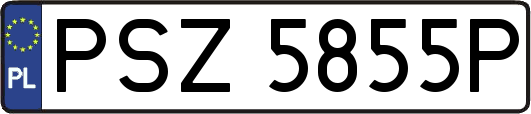 PSZ5855P