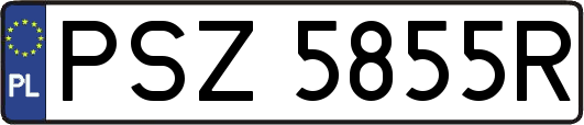 PSZ5855R