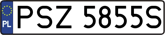 PSZ5855S