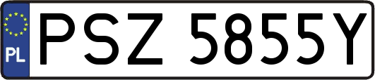PSZ5855Y