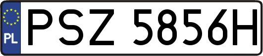 PSZ5856H