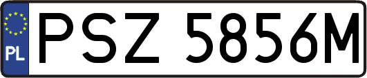 PSZ5856M