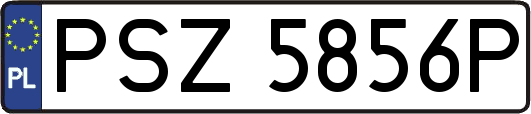 PSZ5856P