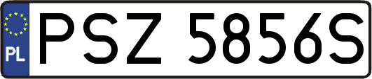 PSZ5856S