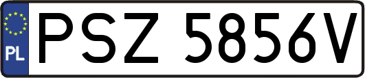 PSZ5856V