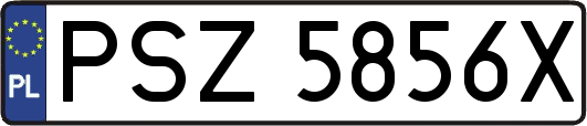 PSZ5856X