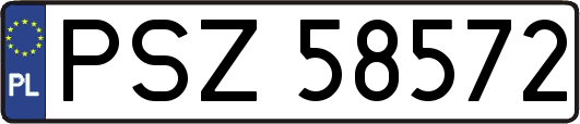 PSZ58572