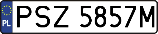 PSZ5857M