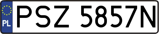 PSZ5857N