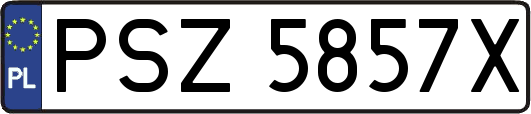 PSZ5857X