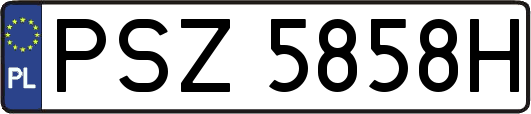 PSZ5858H