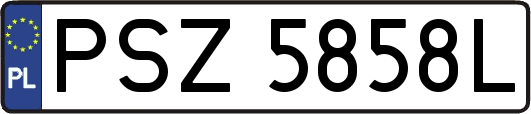 PSZ5858L